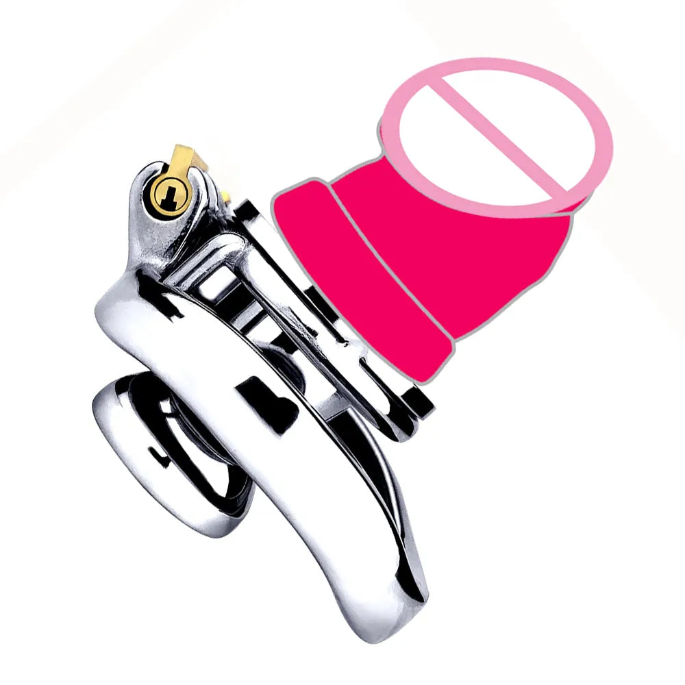 Flacher umgedrehter Peniskfig mit kleinem Dildo Negativer Peniskfig Metall-Keuschheitsvorrichtung Flacher umgedrehter Peniskfig mit kleinem Dildo Negativer Peniskfig Metall-Keuschheitsvorrichtung